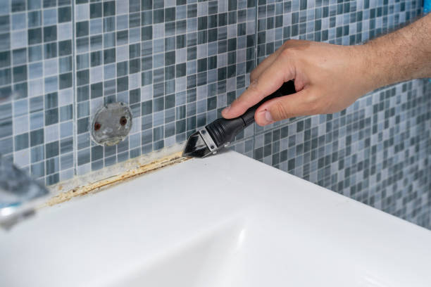 Best Preventive Mold Services in Richmond Hill, GA